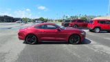Used 2015 Ford Mustang Premium w/ Ecoboost Performance Package image 4