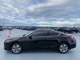 Used 2009 Honda Accord EX image 6