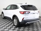 Used 2022 Ford Escape SE image 5