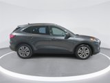 Used 2020 Ford Escape SEL image 4
