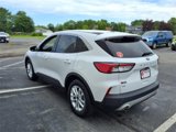 Used 2020 Ford Escape SE image 6