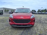 Used 2022 Ford Escape SE w/ Convenience Package image 2