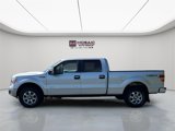 Used 2014 Ford F150 XLT w/ Equipment Group 302A Luxury image 4