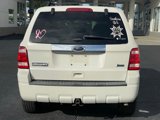 Used 2012 Ford Escape Limited image 4