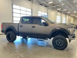 Used 2019 Ford F150 XLT w/ Equipment Group 301A Mid image 6