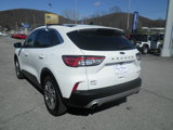 Certified 2022 Ford Escape SEL image 5
