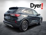 Used 2022 Ford Escape SE w/ Convenience Package image 3