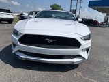Used 2020 Ford Mustang Premium image 6