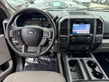 Used 2019 Ford F150 XLT w/ Equipment Group 302A Luxury image 4
