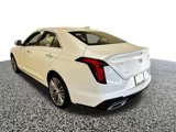 New 2025 Cadillac CT4 Premium Luxury image 3