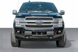 Used 2019 Ford F150 Platinum image 3