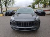 Used 2020 Ford Escape SE image 2