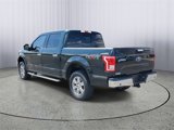 Used 2016 Ford F150 XLT w/ Equipment Group 302A Luxury image 4