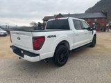 New 2025 Ford F150 XLT w/ Equipment Group 302A MID image 6