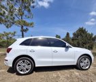 Used 2014 Audi SQ5 Premium Plus image 2