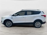 Used 2019 Ford Escape SEL image 5