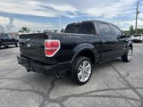 Used 2013 Ford F150 Limited image 2