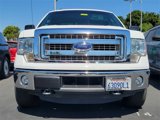 Used 2014 Ford F150 XLT w/ Equipment Group 302A Luxury image 2