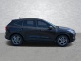New 2025 Ford Escape ST-Line w/ Tech Pack #1 image 2