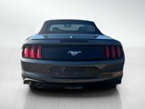 Used 2023 Ford Mustang Premium image 6