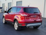Used 2014 Ford Escape SE image 3