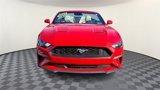 Used 2022 Ford Mustang Premium image 3