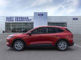 New 2025 Ford Escape Active image 3