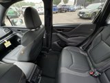 Used 2024 Subaru Forester Wilderness image 4