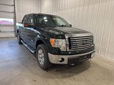 Used 2012 Ford F150 XLT w/ XLT Chrome Pkg image 3