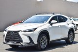 Used 2025 Lexus NX 350h AWD w/ Premium Package image 3