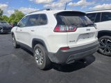 Used 2019 Jeep Cherokee Latitude Plus w/ Comfort/Convenience Group image 4