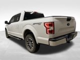 Used 2020 Ford F150 XLT w/ Equipment Group 302A Luxury image 6