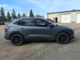 Used 2021 Ford Escape SE w/ SE Sport Appearance Package image 5
