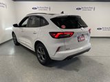 Used 2023 Ford Escape ST-Line w/ Tech Pack #1 image 4