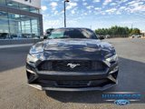 Certified 2021 Ford Mustang Premium w/ Equipment Group 201A image 2