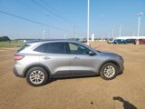 Used 2021 Ford Escape SE image 5