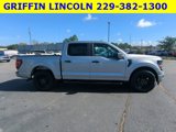 New 2024 Ford F150 STX w/ STX Black Appearance Package image 3