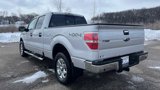 Used 2014 Ford F150 XLT w/ Equipment Group 302A Luxury image 5
