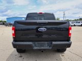 Used 2019 Ford F150 XLT w/ Equipment Group 302A Luxury image 4