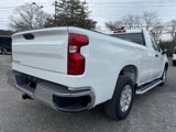 Used 2024 Chevrolet Silverado 1500 W/T w/ WT Fleet Convenience Package image 3