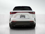 Used 2024 Lexus NX 350 AWD w/ Luxury Package image 4