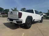 Used 2022 GMC Sierra 2500 AT4 w/ AT4 Preferred Package image 4