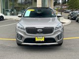 Used 2017 Kia Sorento SX image 2