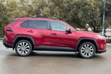 Certified 2019 Toyota RAV4 XLE Premium image 3