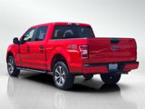 Used 2019 Ford F150 XL w/ Equipment Group 101A Mid image 6