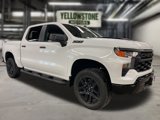 New 2025 Chevrolet Silverado 1500 Custom Trail Boss w/ Turbomax Blackout Package image 6