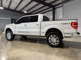 Used 2013 Ford F150 Platinum image 3