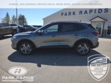 New 2025 Ford Escape ST-Line Elite w/ Tech Pack #2 image 2