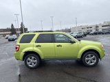 Used 2012 Ford Escape XLT image 5