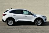 Used 2024 Ford Escape Active image 3
